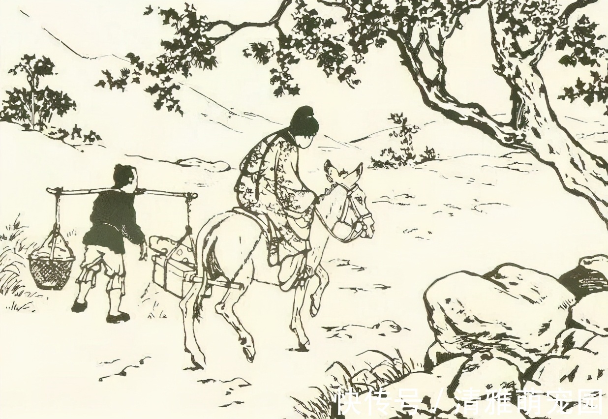 丽娘#聊斋故事:书生深夜遇一女子,相处一段时间,女子要用他的肚脐血