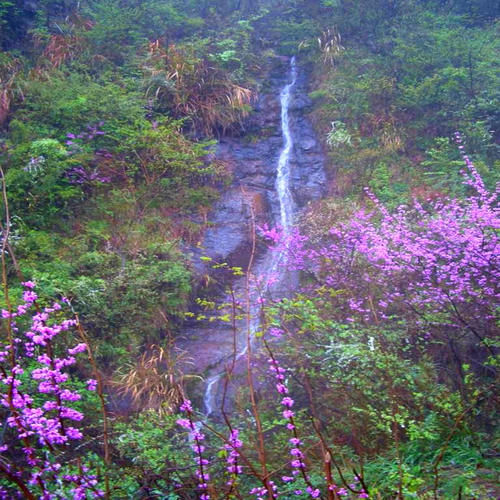 浙江一处适合春游打卡的地方，可爬山，可赏花