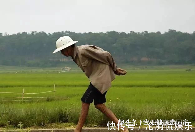 腰背部|此处越“短”人越老，此处越“软”越长寿，30岁以后就要开始注意