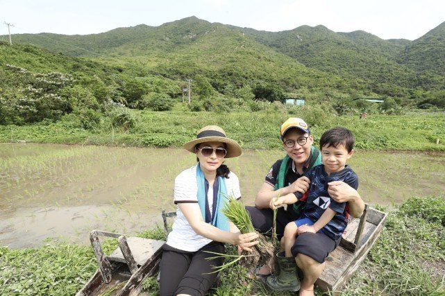 霍启刚|霍启刚晒一家七口晚餐 意外简朴还不如普通人家?
