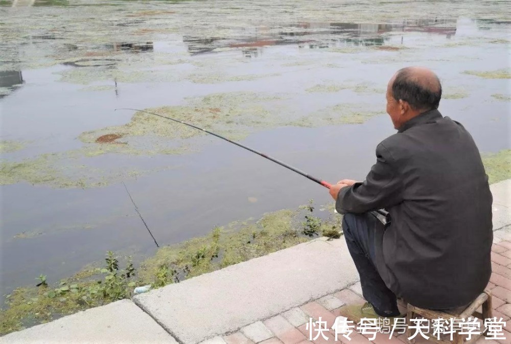 冬季野钓鲫鱼,用这些自制饵料,诱鱼、留鱼、上鱼远胜其它鱼饵