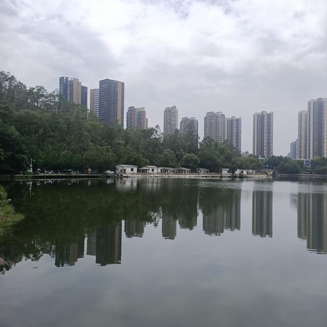 下图|深圳终于找到一个免费钓鱼的水库了,今晚的伙食有着落了