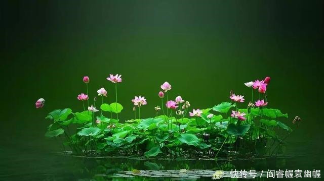 变得|“至乐无乐,至誉无誉”人一旦开始追求快乐,就会变得不快乐