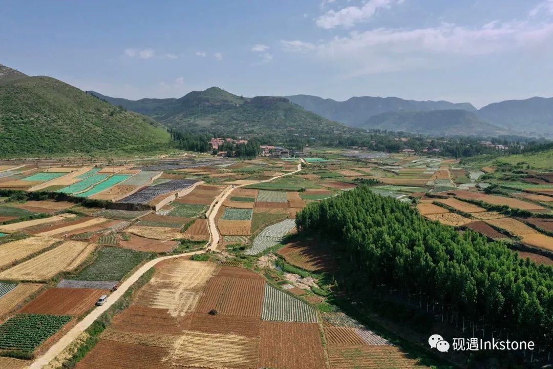 西寺堡|芒种｜大保护 西寺堡 柳洪峪 麦收掠影