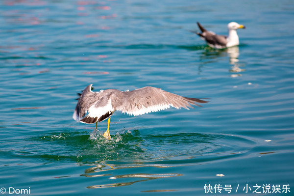 清凉夏日，拥抱星辰大海，西霞口的三天两夜之旅