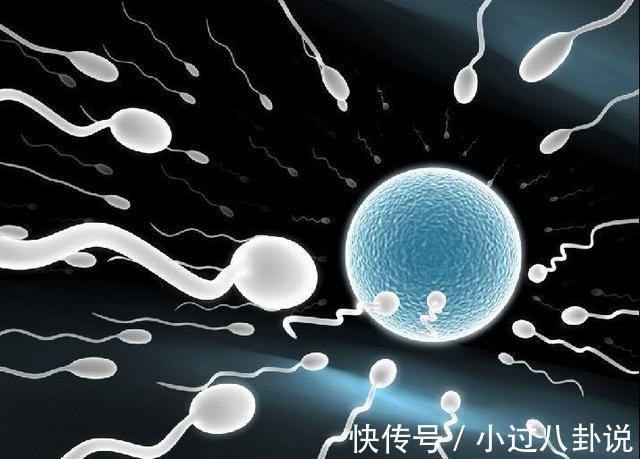 胎儿|要孩子之前不戒酒,对胎儿有多大影响?