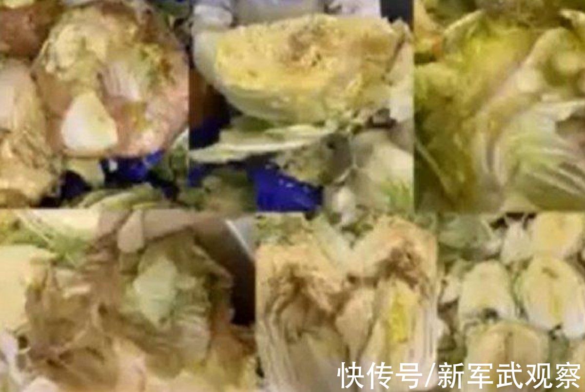蔬菜|白菜都用不起？韩国泡菜工厂用腐烂蔬菜做泡菜，70%产量卖国外