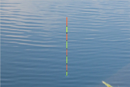 同样钓鱼别人连杆,你却次次抬杆不中鱼,你懂看漂抓口的技巧吗