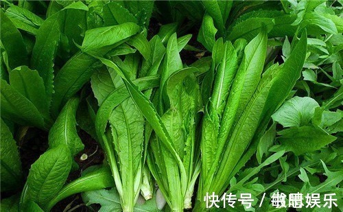 养颜|想长寿先排毒,多吃4种食物,营养丰富,减少皱纹,排毒养颜