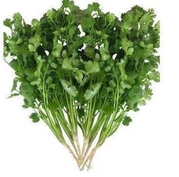 中外文化交流,互相借鉴古已有之,从香菜名称的由来说起