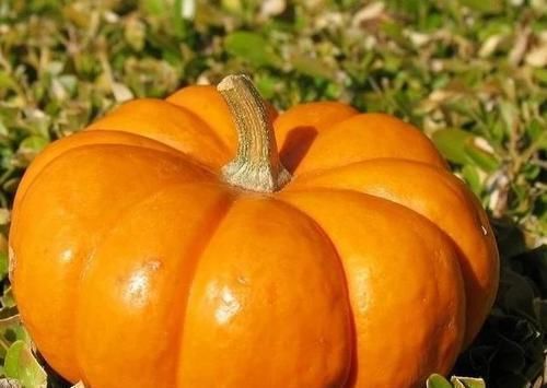 血糖|糖尿病“最怕”的4种食物,再穷也要经常吃,或血糖渐渐降下来