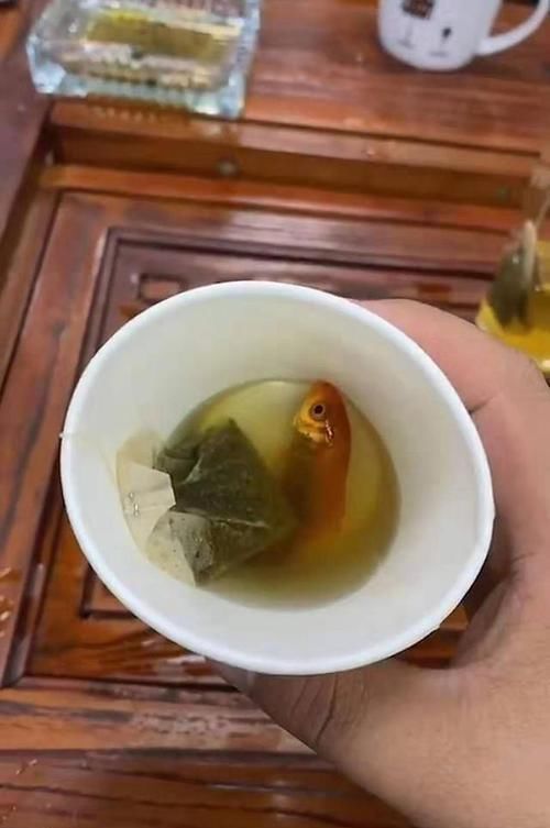 儿子|趁爸爸不留神,儿子往爸爸的茶水里加“佐料”,网友十全大补汤