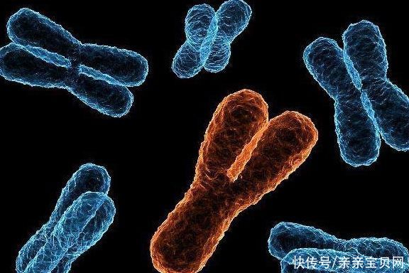 宝妈|孩子智商在腹中时就已经决定了，孕妈这样做，或许会提高宝宝智力