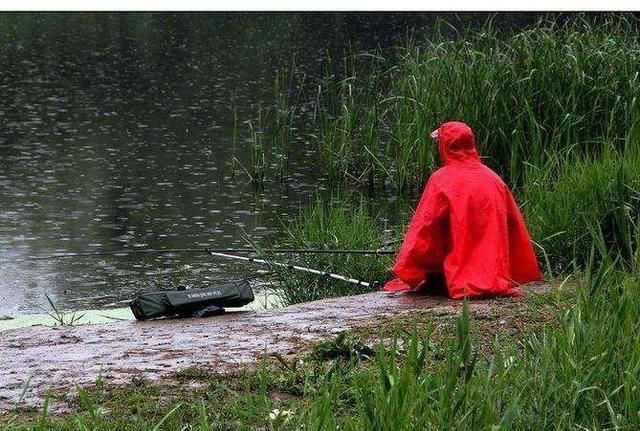 钓鱼鲫鱼都分布在哪里,有什么需要注意的地方吗