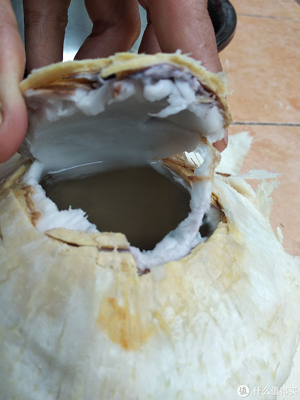 过年在家也能做的简单糖水炖品-椰子奶炖蛋