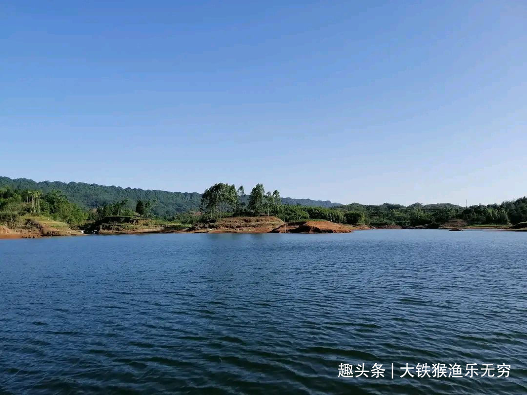 小杂鱼|解决小杂鱼“闹钩”的奇葩招数,这招叫以毒攻毒,钓鱼人完胜