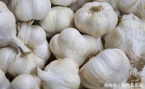 个妙|冬天如何保存大蒜,才不容易发芽试试2个妙招,耐储存,不易坏