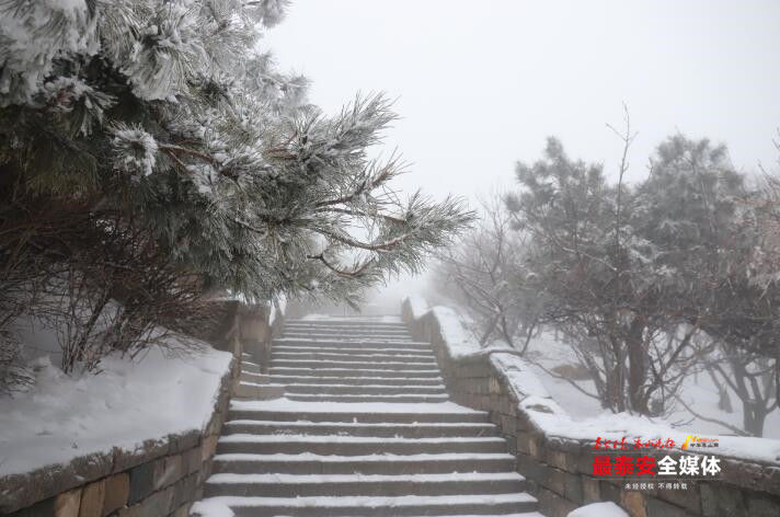 春雪满山坡，岱宗展新颜