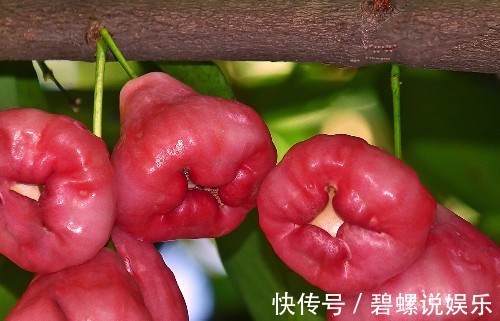 祛湿|夏季养生,5种果蔬,祛湿排毒,减肥快,气色红润显年轻!