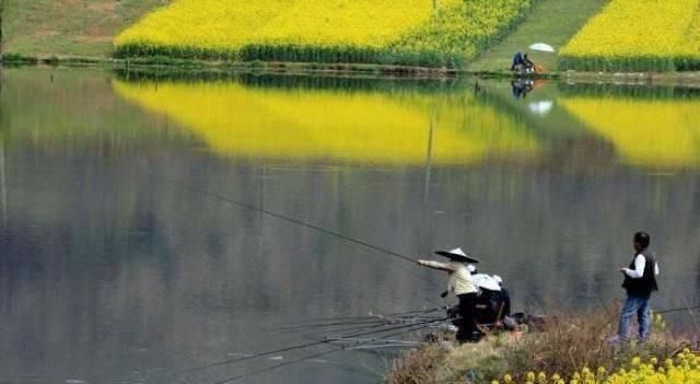 鱼儿就会|春钓时,每天这两个时间段钓鱼都是连竿,许多钓友竟然还在睡觉