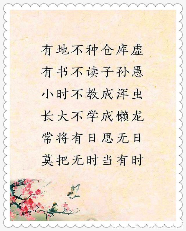 大智慧|老祖宗留下的金句,太经典了,句句都是大智慧