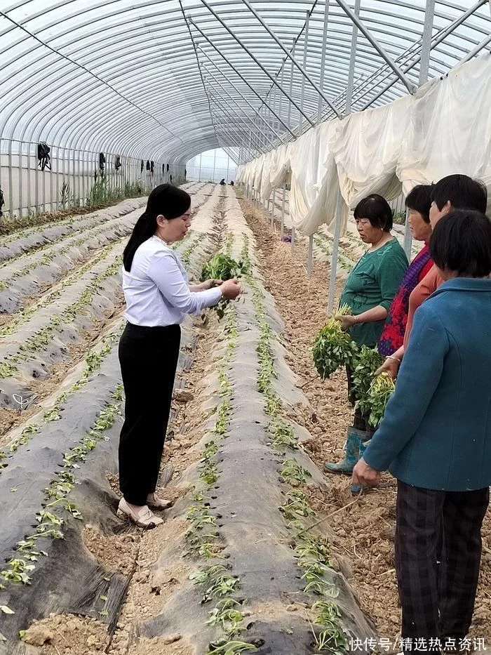 万万没想到（脚踏实地）脚踏实地的名言 第2张