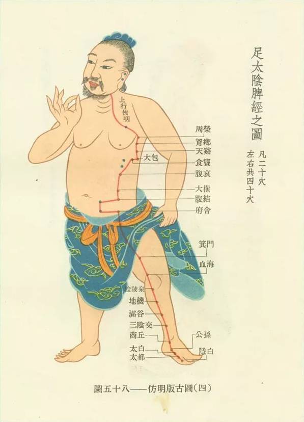 老中医|脾,后天之本!老中医带你品味人体脾经大药!补脾通络,胜吃补药