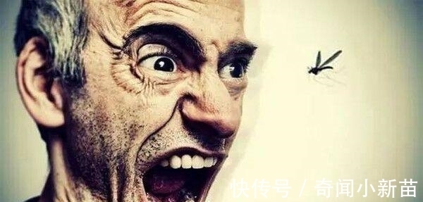 唐老鸭|8个“没什么卵用”但可以“涨姿势”的冷知识