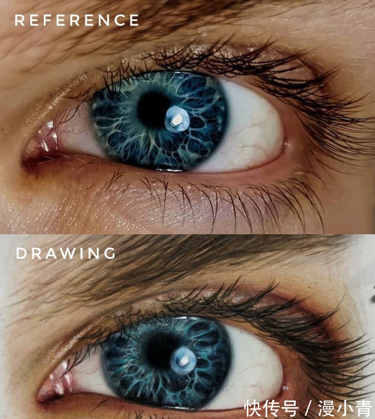 小学生$从手残到大师,画师用自己的经历告诉人们,只要坚持就能实现梦想