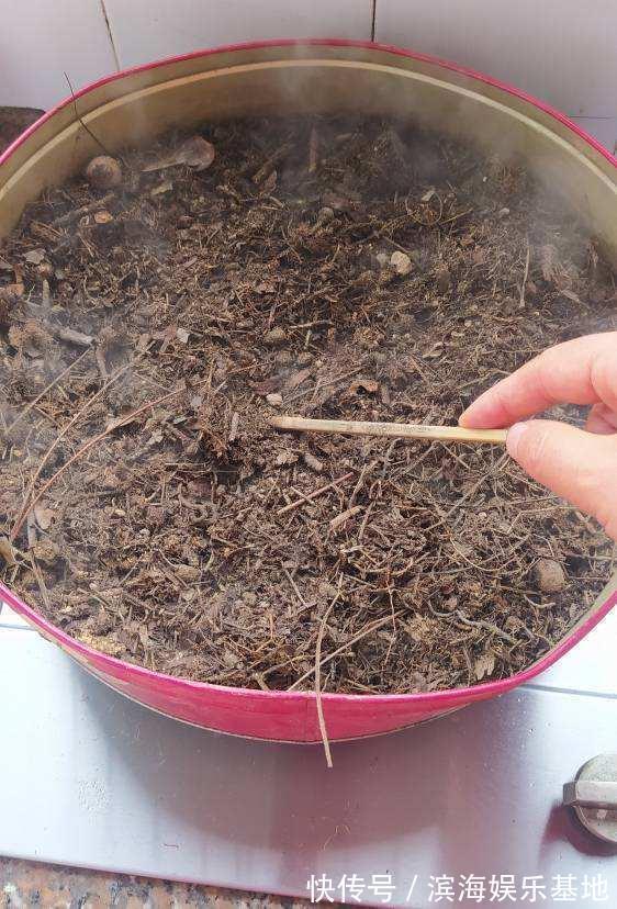 养花|7种“垃圾”不是废物,泡一下水,肥的流油,养花一级棒