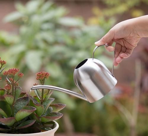 拿“开水”浇花真省事,花草长得旺,还能生花肥钱