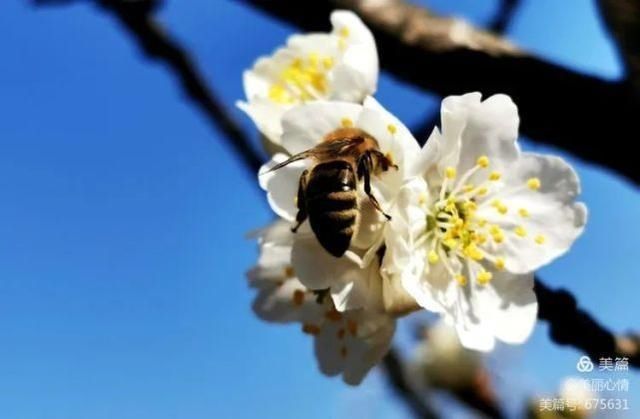 官宣！陕西多地景区重新开放 疾控中心发出最新提醒