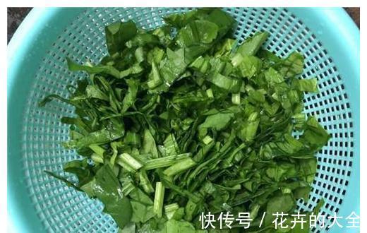 菠菜|找到天然“补锌菜”，是海带5倍，坚果十倍，孩子免疫力好身体棒