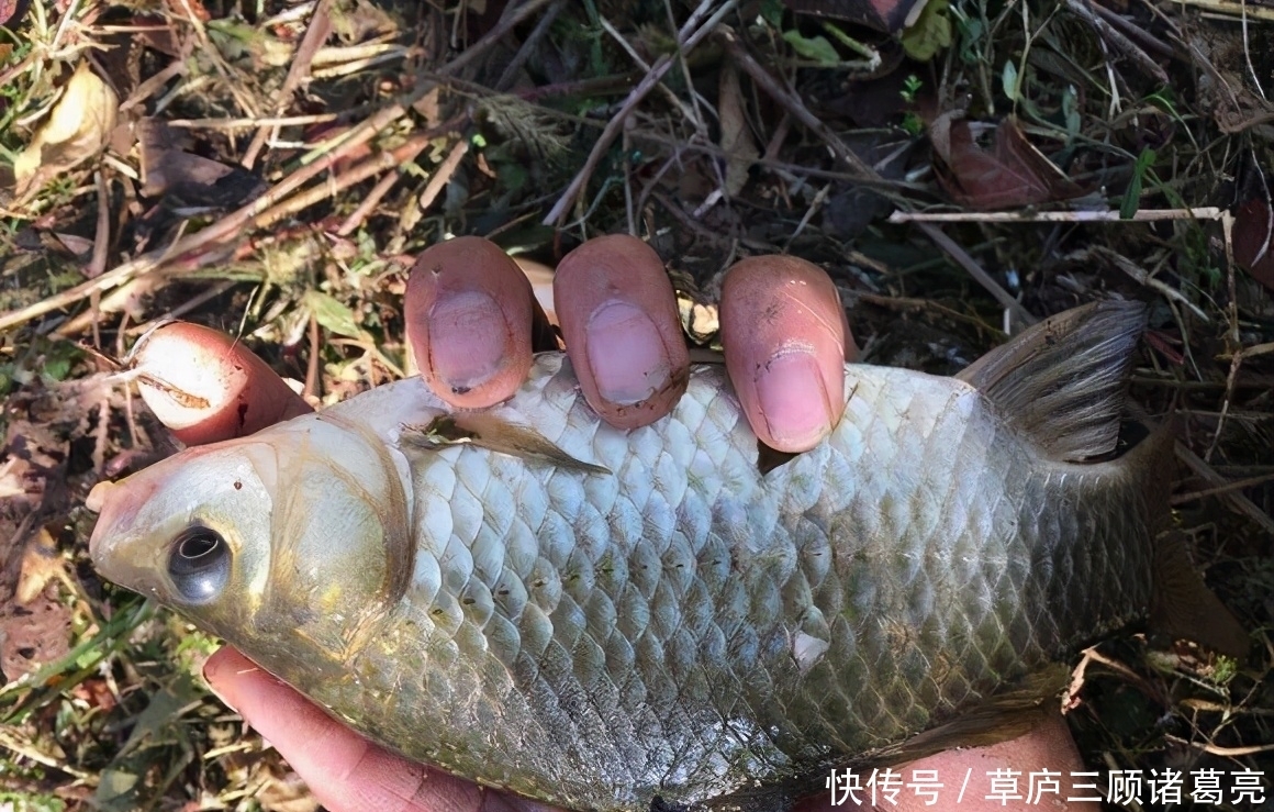 睡眠|鱼委屈:“你根本不了解我,说的就是你,整天诱我上钩的钓鱼人”