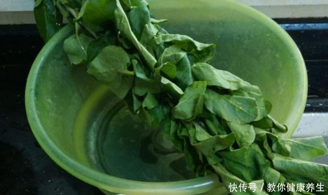 营养|它才是“护肝菜”,一周吃3次,营养极高,养肝护眼,肝脏变健康