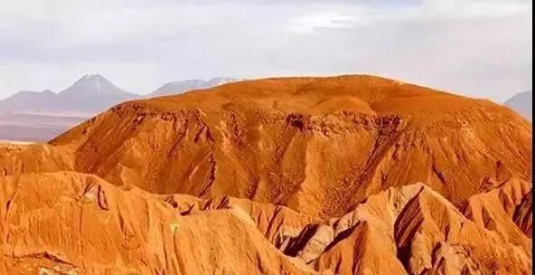 物种 地球不为人知的15大秘密,第一个你就不知道