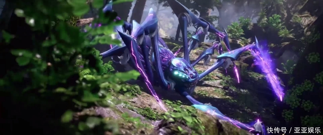 可爱|斗罗大陆：人面魔蛛惹怒唐三，在它面前，另一种魔蛛反而有些可爱