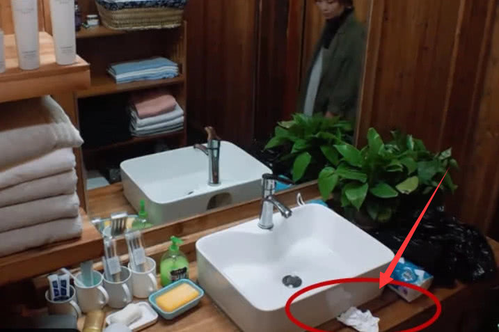 《向往3》表面抢活干，离开镜头后，卫生间一细节暴露真实素质