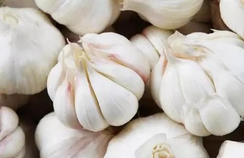 西红柿|免疫力差的人，医生建议：常吃7种食物，或有助提升免疫力