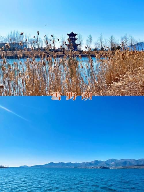 老年|2021年牛年大吉，新的一年第一次旅游选择了省会济南