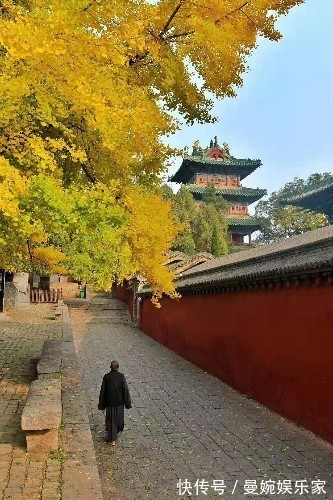 扫地僧|看到扫地僧扫除落叶，我笑他笨拙，老僧这句话让我开悟！