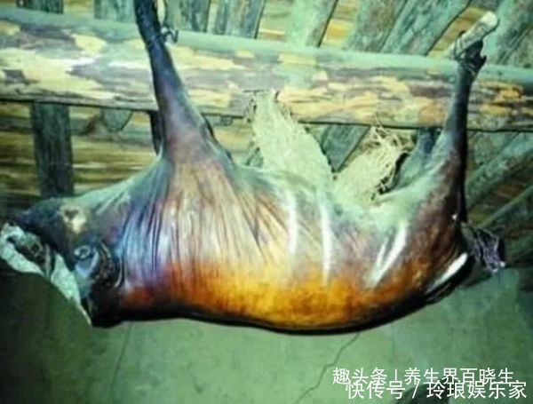 家里|这四种食物越放越“金贵”,从来不怕过期,家里要是有千万别扔了