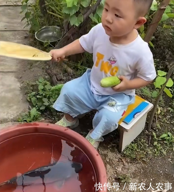 萌娃|萌娃不想鱼被卖掉，抱起来就往家跑，一系列神操太有爱了