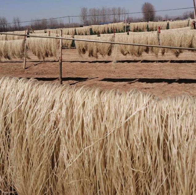 大妈|如何挑选红薯粉条农村大妈教你6诀窍,轻松辨别真假