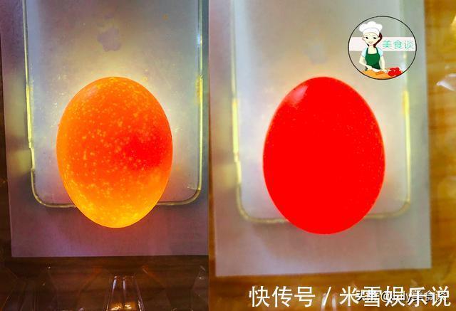 鸡蛋壳|超市买鸡蛋时,白壳和红壳鸡蛋哪个好?农场员工说漏嘴:别瞎买了