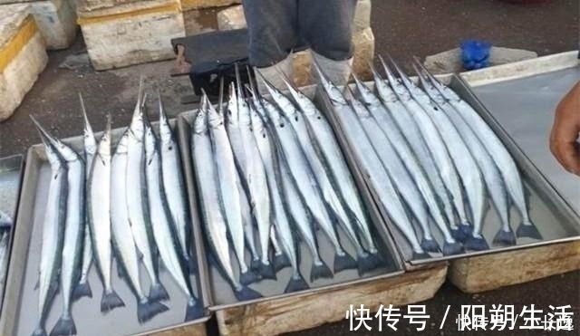 它常被错认成带鱼,但要比带鱼便宜营养,却没有几人知道