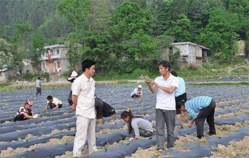 此联#千古绝对! 上联 财因有才才有财, 下联经典到爆!