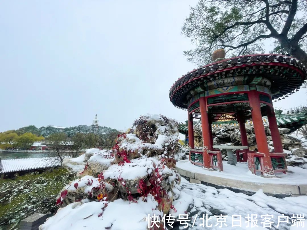 美景|立冬恰逢初雪，北京号带您“云”赏雪后美景