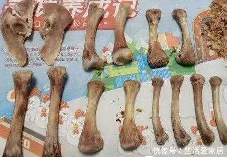 透气性|养花大爷透露这“3种料”放土里,比营养土还好用,养1盆爆1盆