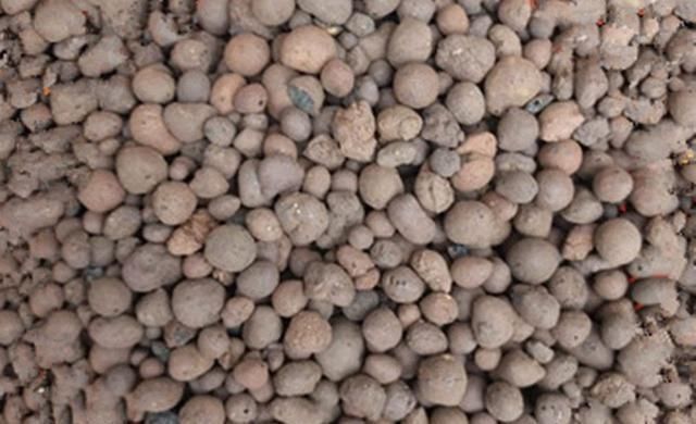 花土|养花怕浇水多了烂根,盆里放几样东西,再也不怕水多烂根了